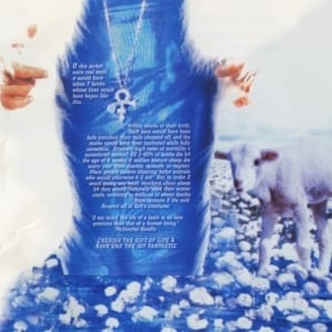 Prince - Rave Un2 The Joy Fantastic (1999) CD 9