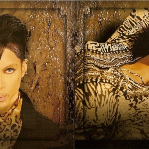 Prince - Lotus Box (Various Outtakes / Alternate Versions / Officially Released Various Dates: 1981- 2009) (2010) 6 CD SET 10