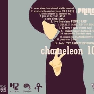 Prince - Chameleon Vol. 10 (Demos, Outtakes & Studio Sessions) (CD) 5