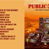 Public Enemy - Nothing Is Quick In The Desert (2017) CD