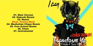 Chris Brown (Feat. Lil Wayne & Swizz Beatz) - I Can Transform Ya