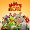 The Muppets - The Muppets Now (Season 1) (2020) DVD