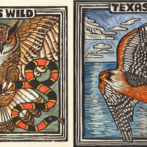 Texas Parks & Wildlife Foundation - Texas Wild (2023) CD