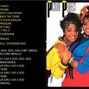 Picture Perfect - Boy Crazy / Don't Treat Your Girly Like A Dog, Dog, Dog (EXPANDED EDITION) (1987) CD 5 Picture Perfect - Boy Crazy / Don't Treat Your Girly Like A Dog, Dog, Dog (EXPANDED EDITION) (1987) CD 1